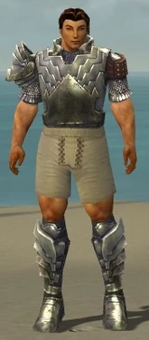 Warrior Templar Armor M gray chest feet front