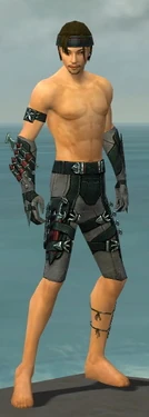 Assassin Seitung Armor M gray arms legs front