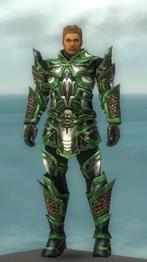 Warrior Elite Kurzick Armor M nohelmet