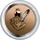 Badge-571-3