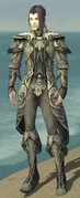 Elementalist Monument Armor M gray front