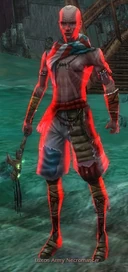 Luxon Army Necromancer
