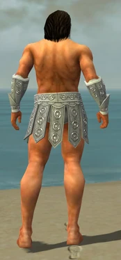 Warrior Ascalon Armor M gray arms legs back