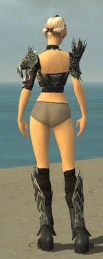 Warrior Silver Eagle Armor F gray chest feet back