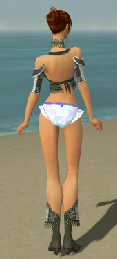 Elementalist Elite Luxon Armor F gray chest feet back