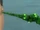 Jacado's Staff