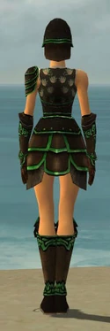 Warrior Shing Jea Armor F dyed back