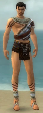 Ritualist Exotic Armor M gray chest feet front