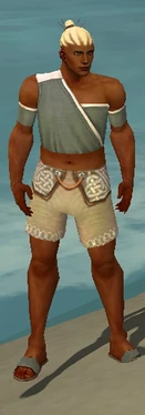 Monk Ascalon Armor M gray chest feet front