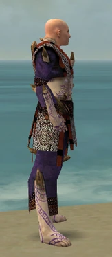 Monk Primeval Armor M dyed side