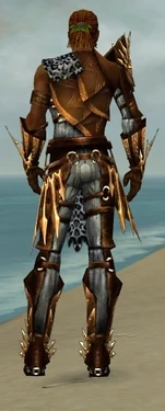 Ranger Elite Sunspear Armor M dyed back