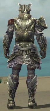 Warrior Templar Armor M gray back