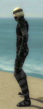 Assassin Kurzick Armor M gray side