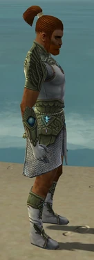 Paragon Monument Armor M gray side