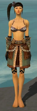 Ritualist Imperial Armor F gray arms legs front