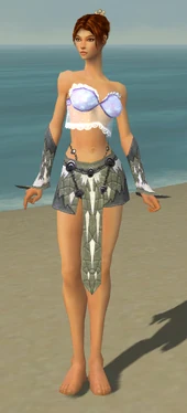 Elementalist Iceforged Armor F gray arms legs front
