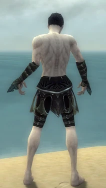 Necromancer Elite Cabal Armor M gray arms legs back