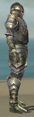 Warrior Templar Armor M gray side