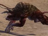 Minotaur (Crystal Desert)