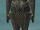 Granite Citadel Ascended armor