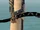 Everlasting Shadow Staff