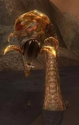 A , a typical Behemoth