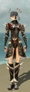 Necromancer Norn Armor F gray front