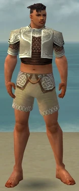 Gilded Vestments M gray front