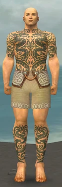 Monk Dragon Armor M gray chest feet front
