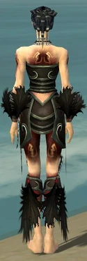Necromancer Sunspear Armor F gray back