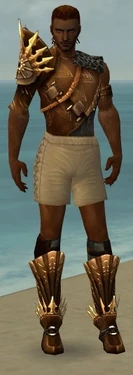 Ranger Elite Sunspear Armor M gray chest feet front