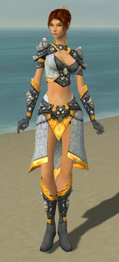 Elementalist Stoneforged Armor F dyed front