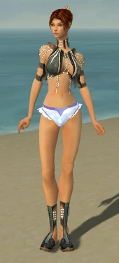 Elementalist Sunspear Armor F gray chest feet front