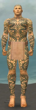 Monk Dragon Armor M gray front