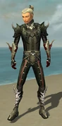 Assassin Deldrimor Armor M gray front