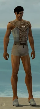 Dervish Vabbian Armor M gray chest feet front