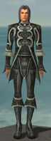Elementalist Elite Canthan Armor M gray front.jpg