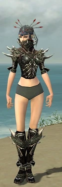 Necromancer Elite Luxon Armor F gray chest feet front