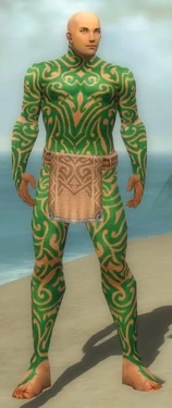 Monk Flowing Armor M dyed front