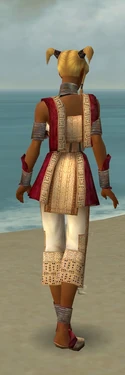 Monk Vabbian Armor F dyed back