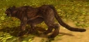 Melandru's Stalker