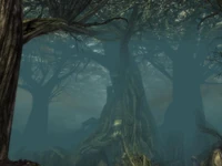 Melandru's Hope