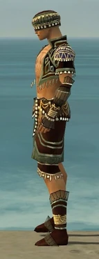 Ritualist Vabbian Armor M gray side