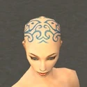 Monk Elite Canthan Armor F dyed head front