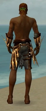 Ranger Elite Sunspear Armor M gray arms legs back