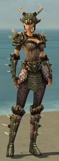 Ranger Studded Leather armor - Guild Wars Wiki (GWW)