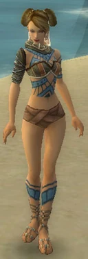 Monk Luxon Armor F gray chest feet front