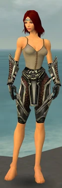 Warrior Elite Kurzick Armor F gray arms legs front