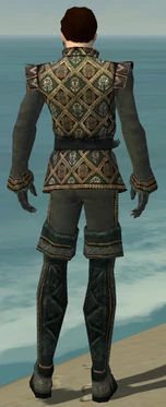 Mesmer Elite Noble Armor M gray back