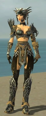 Warrior Silver Eagle Armor F dyed front